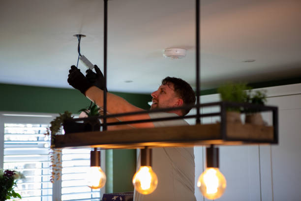 Best Electric Panel Repair  in De Kal, TX